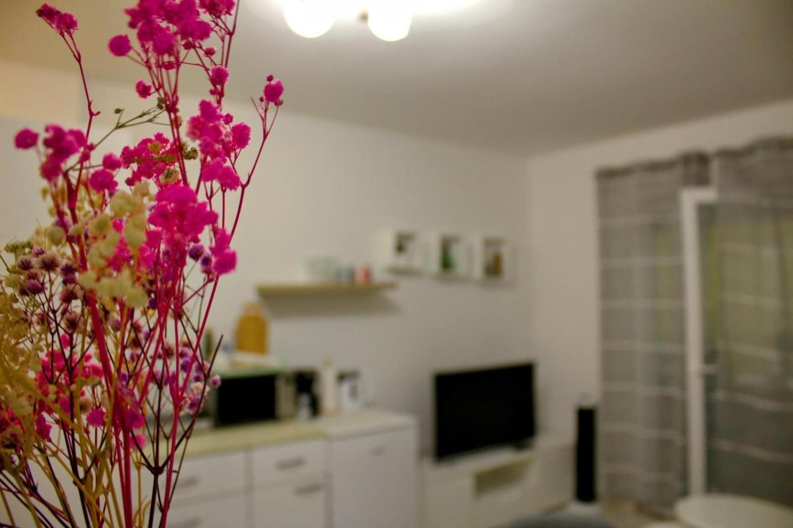 Apartment Danijela Zadar Exterior foto